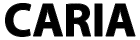 Logo Black